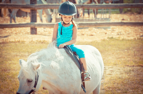 Horses make great therapy animals.