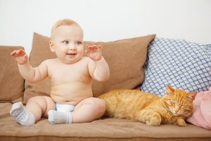 Is It Okay for Newborns to Live With Pets?