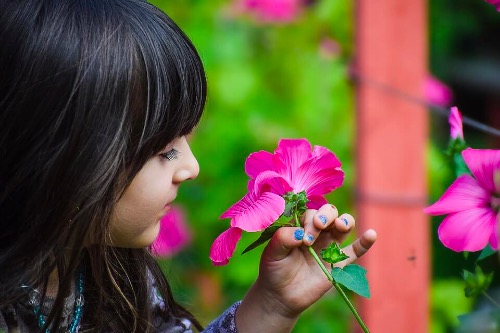 Botany Classes for Kids: Useful Tips