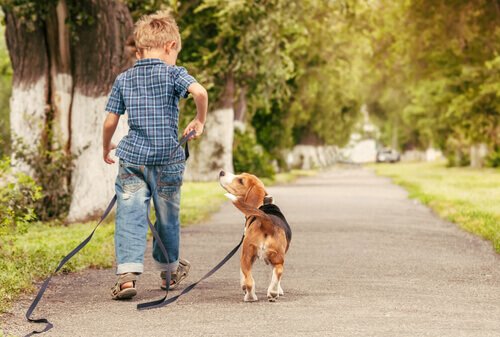 Benefits of Having Pets at Home 
