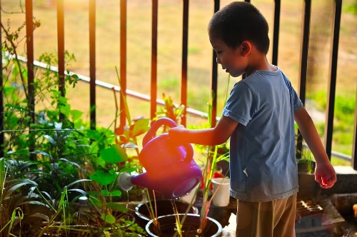 Environmental Education for Kids: Fun Activities - You are Mom