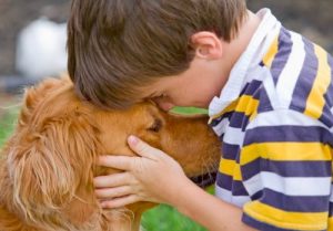 Benefits of Having Pets at Home