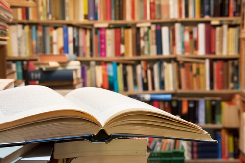 The Educational Value of Libraries