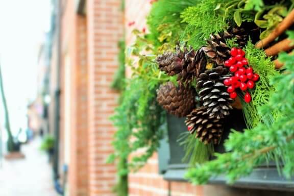 6 Ideas to Decorate Your Yard for Christmas