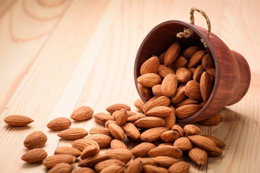 5 Foods to Boost Your Immune System