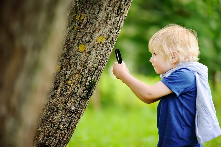 What Is Outdoor Education?