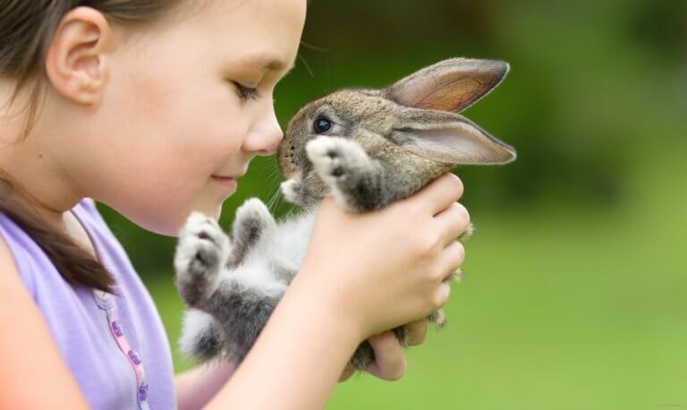5 Pets for Children who Live in the Country