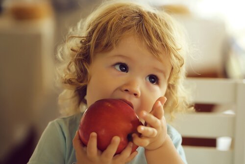 The 5 Most Recommended Fruits for Children