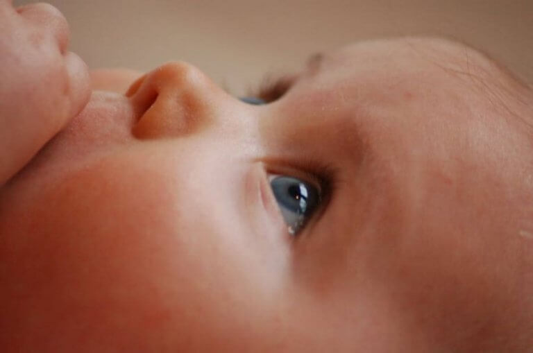 What Influences Babies' Genetics?
