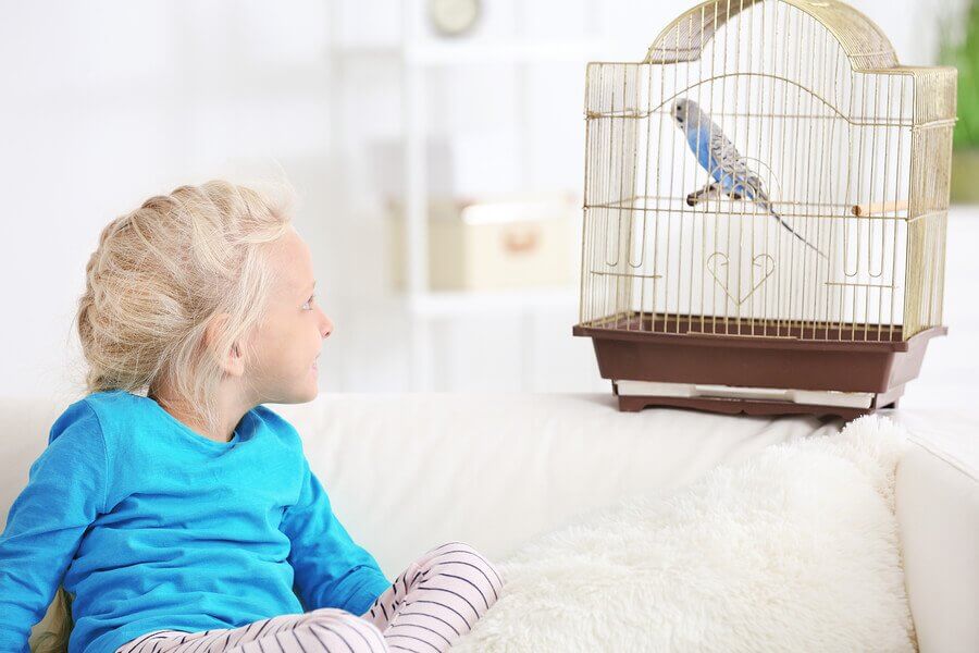Advantages of Children Having a Pet