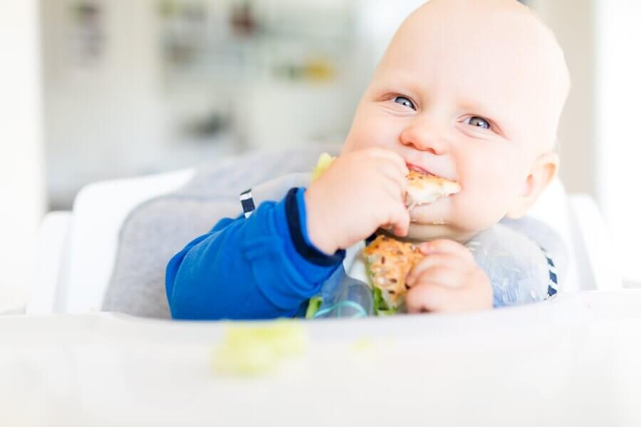 How Children Develop Their Food Tastes