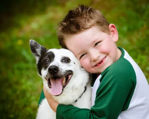 3 Great Children's Stories About Dogs