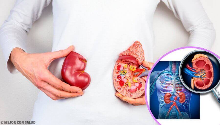 Kidney Cancer in Childhood: Symptoms and Causes