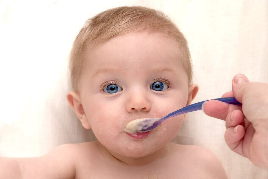Does the Vegan Diet Influence Breast Milk?
