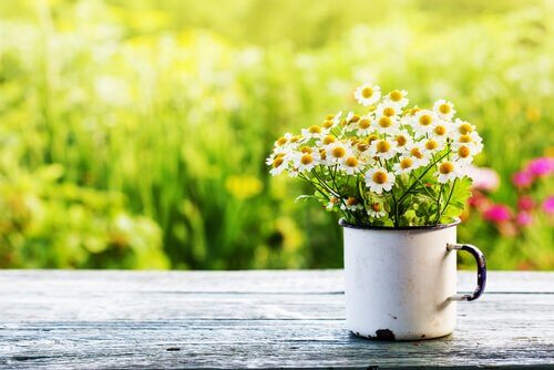 How Spring Affects Our Hormones