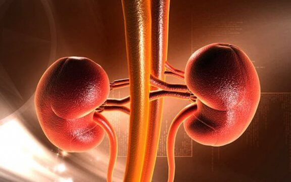 Kidney Cancer in Childhood: Symptoms and Causes