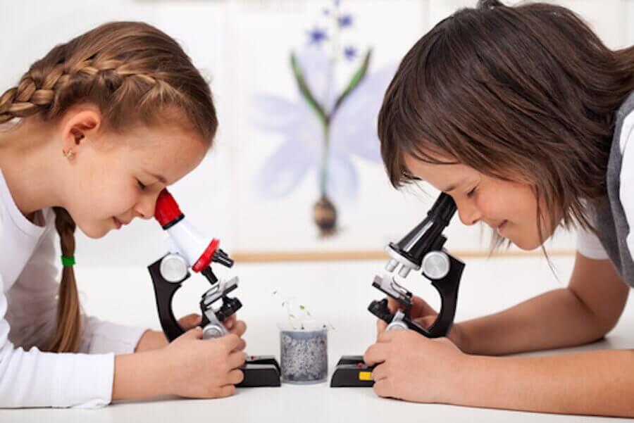 4 Science Experiments for Children