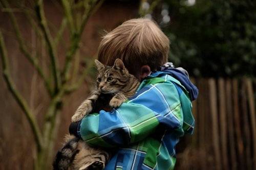 The Friendship Between Pets and Children