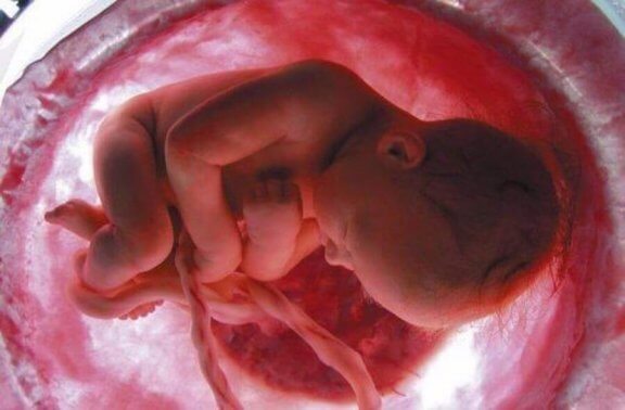 foster i livmoderen