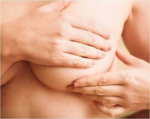 Changes in Breasts During Pregnancy