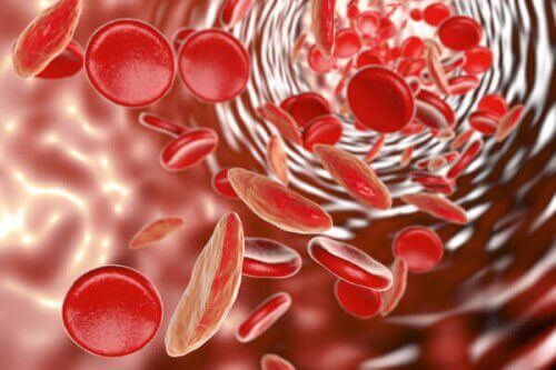 Anemia in Adolescents: Symptoms and Treatment