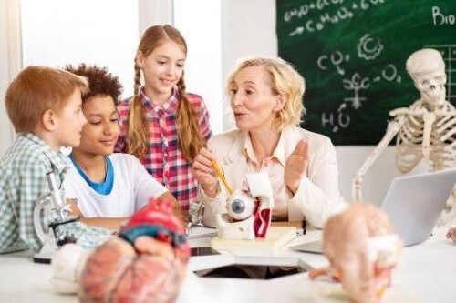 Neuroeducation in the Classroom: What You Should Know
