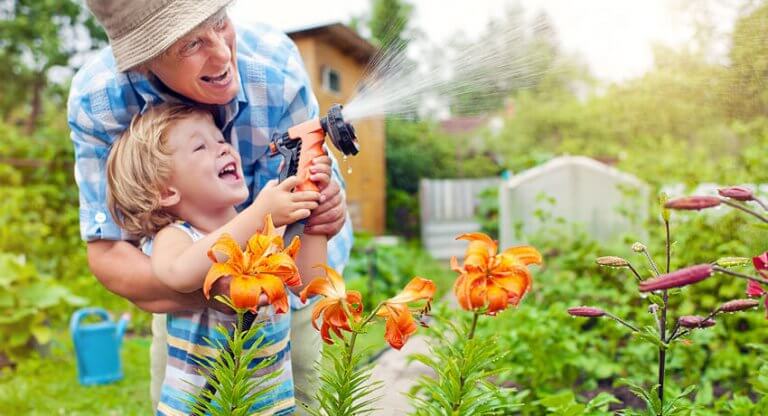 Growing a Fruit Tree from Seed with Your Kids