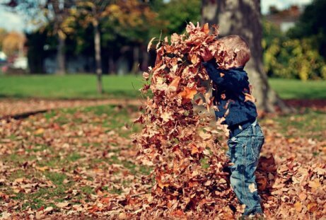 6 Easy and Inexpensive Ideas to Decorate Your House in the Fall