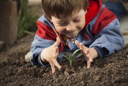Teaching Children to Respect the Environment