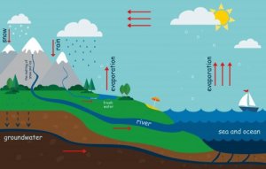 How to Explain the Water Cycle to Children