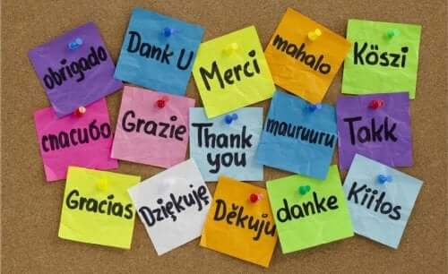 How to Teach Gratitude in the Classroom