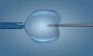 Egg Donation: Everything You Need to Know