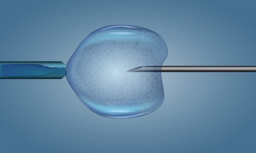 Egg Donation: Everything You Need to Know