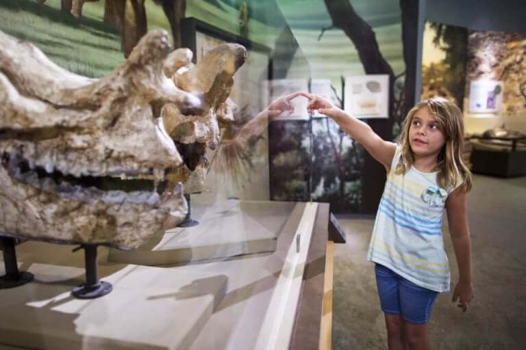 5 Ways to Save when You Go on a Family Trip