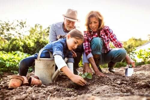The Role of Grandparents in Children’s Lives
