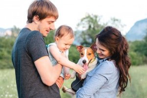 What to Do with a Pet when a Baby Arrives?