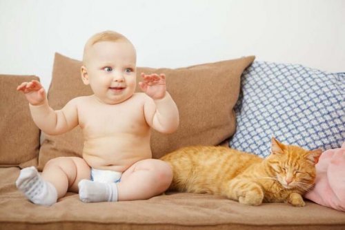 What to Do with a Pet when a Baby Arrives?