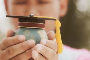 The Theory of School Organization and Its Characteristics