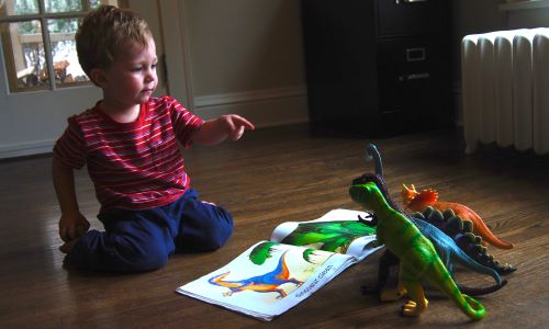6 Children's Books About Dinosaurs
