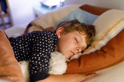 Transitional Objects Transitional Objects: The Toy Your Child Can't Live Without - You are Mom