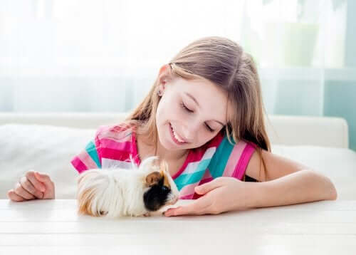 7 Pets for Children if You Live in the City
