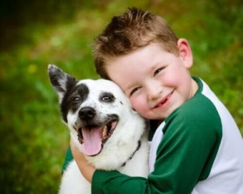7 Pets for Children if You Live in the City