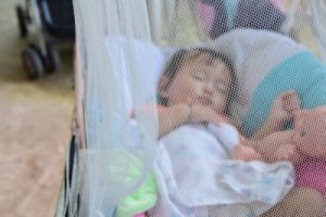 What to Do to Prevent Mosquito Bites