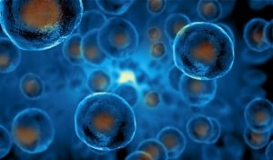 How to Explain Stem Cells to Children