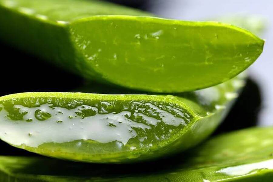 The Treatment of Internal Hemorrhoids