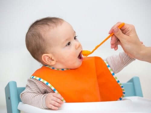 Puree Recipes for 6-Month-Old Babies
