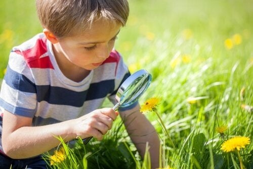 Project-Based Learning: Students as Protagonists in Their Own Learning