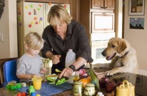 Movies that Teach Children About Love for Animals