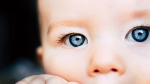 The Development of Perception in Children