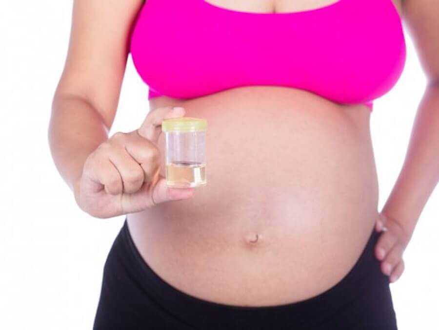 The Importance of Urine Tests During Pregnancy